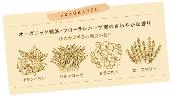 FRAGRANCE